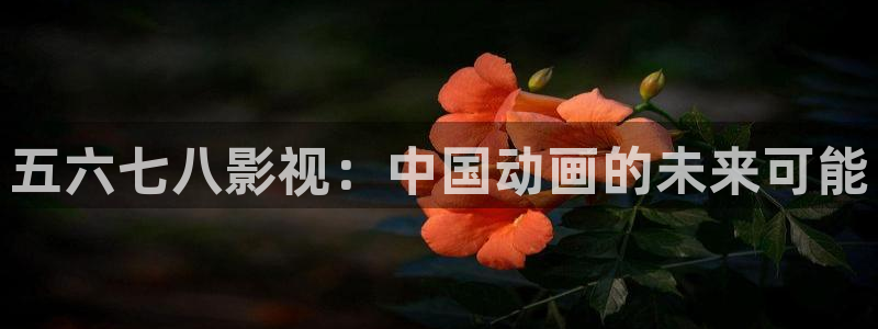 可可影视下载电影储存完位置：五六七八影视：中国动画的未来可能