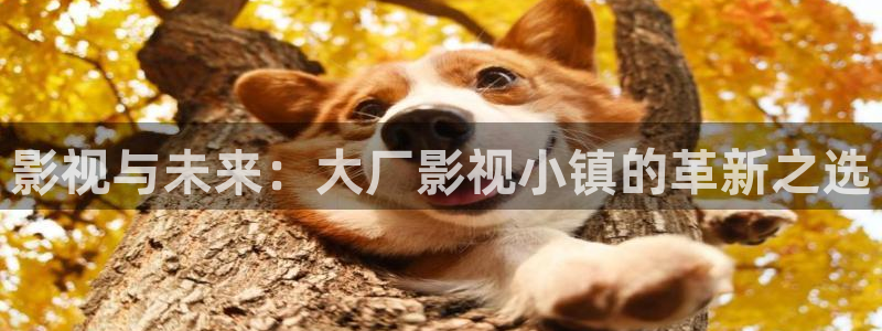 可可影视软件下载