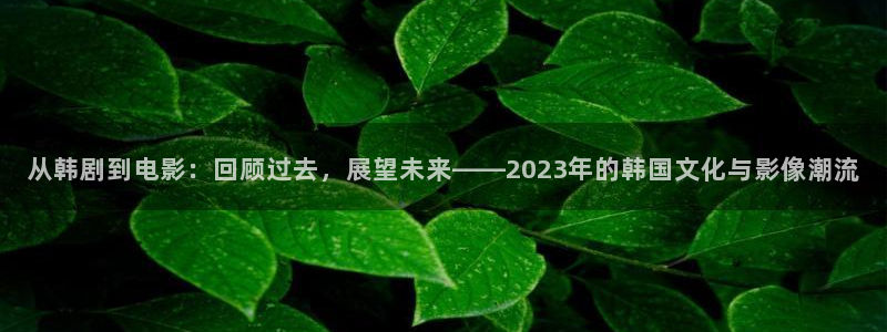 可可影视tv：从韩剧到电影：回顾过去，展望未来——2023年的韩国文化与影像潮流
