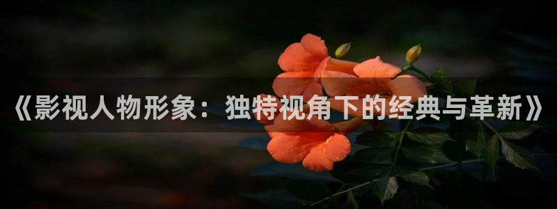 可可影视 tv：《影视人物形象：独特视角下的经典与革新》