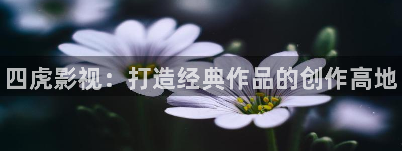可可影视手机版下载：四虎影视：打造经典作品的创作高地