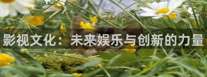 可可影视kkeys官网下载：影视文化：未来娱乐与创新的力量