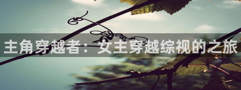 可可影视安全吗：主角穿越者：女主穿越综视的之旅