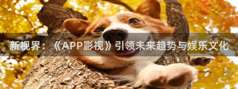 可可影视3.1.8：新视界：《APP影视》引领未来趋势与娱乐文化