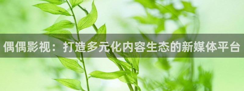 可可的影视：偶偶影视：打造多元化内容生态的新媒体平台